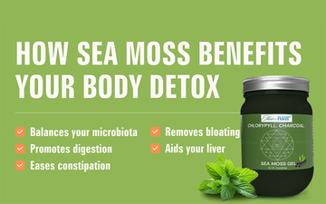 5 ways to start your day right with nutritious sea moss!