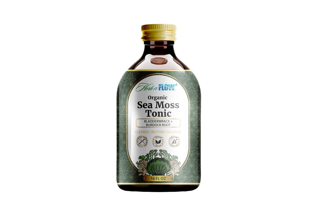 Sea Moss Tonic – Organic Superfood for Gut Health, Immunity & Energy