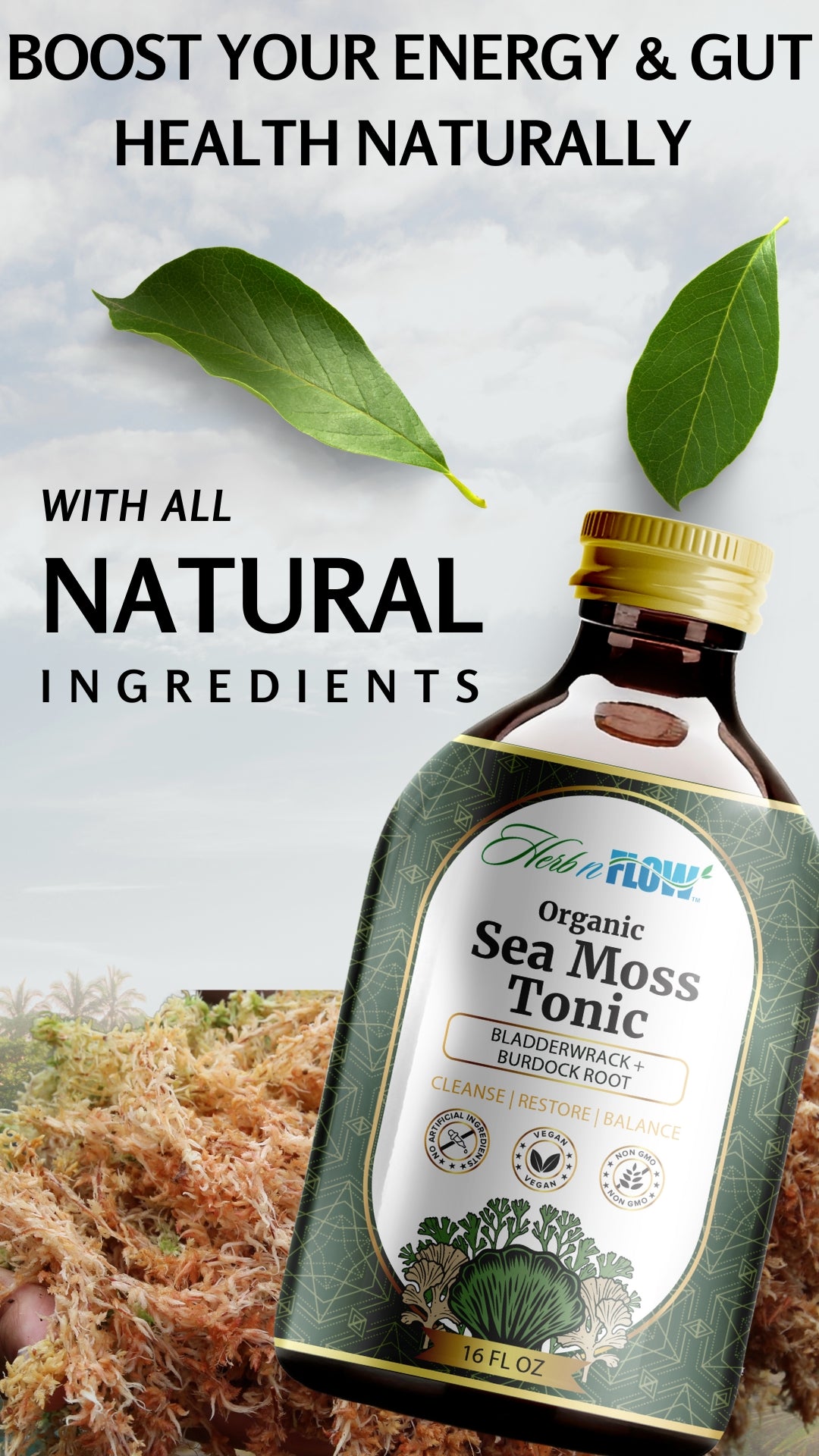 Sea Moss Tonic – Organic Superfood for Gut Health, Immunity & Energy